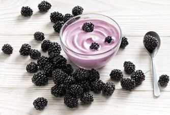 Precio yogurt de sabor zarzamora
